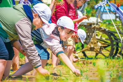 写真：笑顔で苗を植えこむ子どもたち（提供写真）