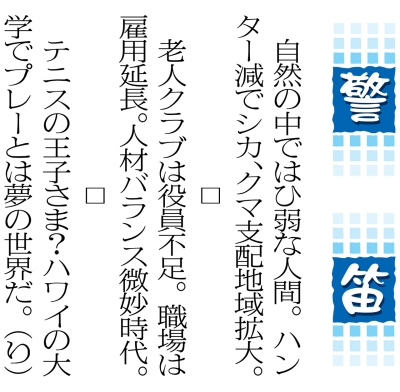写真：