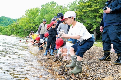 写真：洞爺湖に稚魚を放流する洞爺湖温泉小児童たち