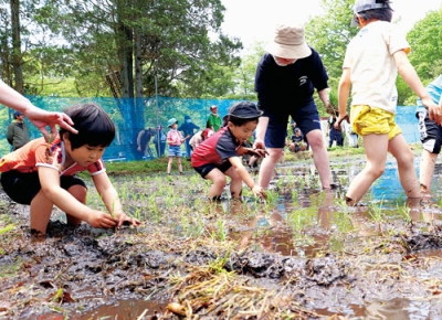 写真：豊作を願い、田植えに励む子どもたち