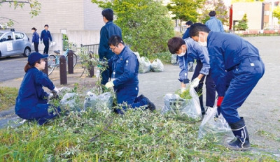 写真：刈り取った雑草を袋に入れる市職員