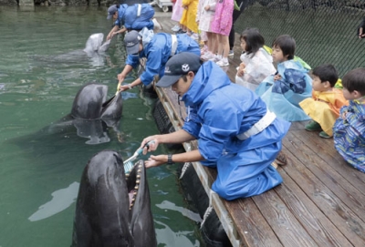 写真：和歌山県太地町の町立くじらの博物館で披露されたクジラの歯磨き＝１日午前