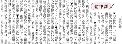 写真：
