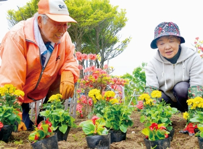 写真：青空の下で花植えに精を出す会員たち