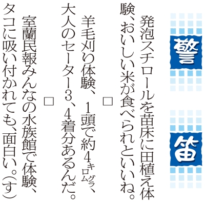 写真：