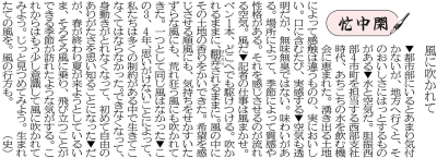 写真：