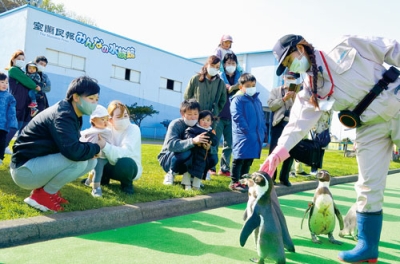 写真：いつも大勢の人が集まる人気のペンギンの行進。きょう開館７０周年を迎える
