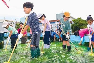 写真：デッキブラシでコイの池を清掃する子どもたち