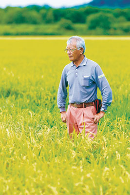 写真：育てた稲穂を見つめる佐藤泰夫さん