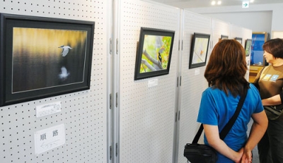 写真：四季折々の鳥の姿を収めた写真展