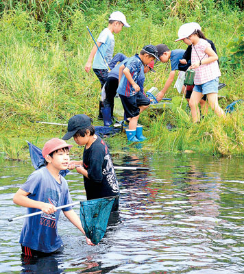 写真：水生昆虫や魚取りに夢中な児童たち