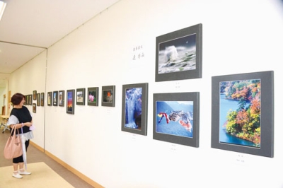 写真：身近にある景色を切り取った作品２５点が並ぶ仲間展