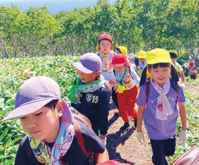 写真：室蘭岳の頂上を目指す白菊幼稚園の年長児