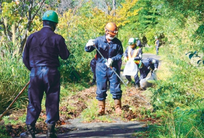 写真：草刈り奉仕に汗を流す社員ら