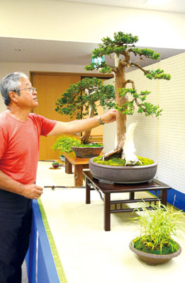 写真：合同盆栽展の準備を行う会員