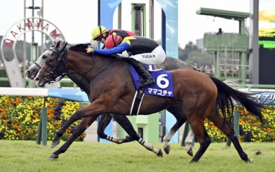 写真：第５７回スプリンターズステークスを制したママコチャ＝中山競馬場