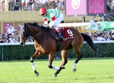 写真：４着だったスルーセブンシーズ＝パリロンシャン競馬場（共同）