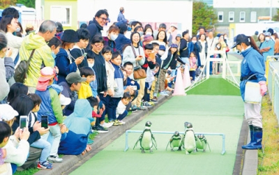 写真：今季クローズを迎えた室蘭民報みんなの水族館。ペンギンのパレードなどで大盛り上がりだった