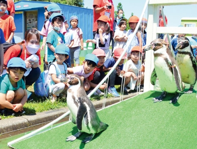 写真：前年比４千人増の７万３８２７人が訪れた今季の室蘭民報みんなの水族館