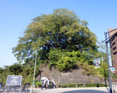 写真：四谷見附跡の石垣＝東京都千代田区