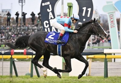 写真：第４３回ジャパンカップを制したクリストフ・ルメール騎乗のイクイノックス＝東京競馬場