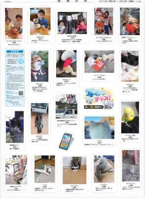 写真：