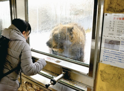 写真：ヒグマとガラス越しに触れ合うことができる「ヒトのオリ」