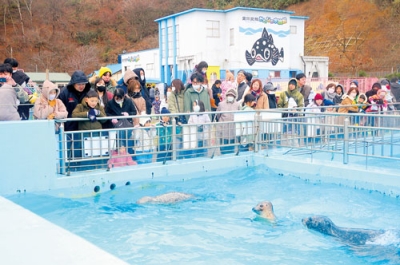 写真：多くの家族連れらでにぎわう水族館＝２日午後２時３５分ごろ