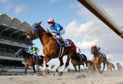 写真：第２４回チャンピオンズカップを制したレモンポップ（手前）＝中京競馬場