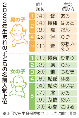 写真：