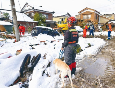 写真：災害現場で活動する小野寺さんとジーク（提供写真）
