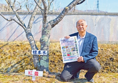 写真：パンフレットを手に標本木と一緒に予想を呼びかける千葉館長