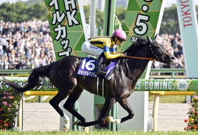 写真：第２９回ＮＨＫマイルカップを制した川田将雅騎手騎乗のジャンタルマンタル＝東京競馬場