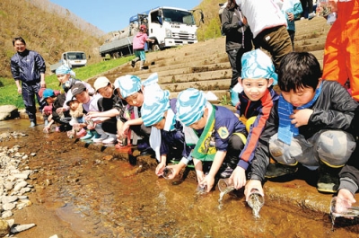 写真：貫気別川に稚魚を放流する児童たち