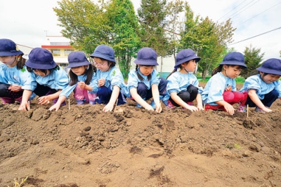 写真：「大きく育て」と願いを込めてジャガイモを植える園児たち