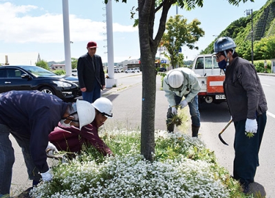 写真：植樹升の草刈りに汗を流す羽立総合建設の社員たち
