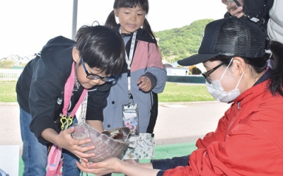 写真：ダイオウグソクムシの感触を確かめる子どもたち