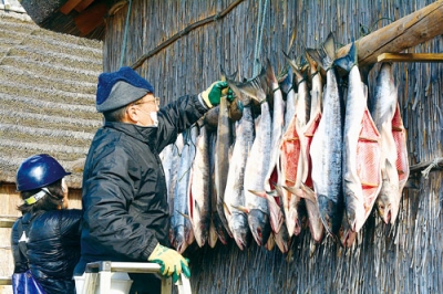 写真：保存食にするために干されるサケ