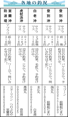 写真：