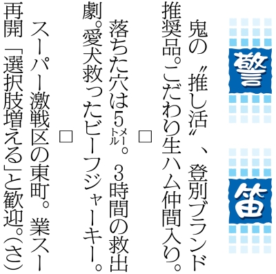 写真：