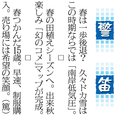 写真：