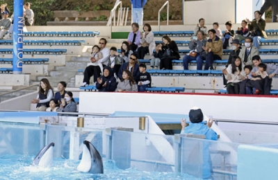 写真：「のとじま水族館」が全面再開し、震災後初めて実施されたイルカショーを楽しむ来園者＝２２日午前、石川県七尾市