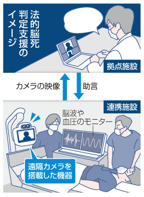 写真：