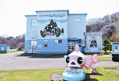写真：１２日プレオープンする室蘭民報みんなの水族館