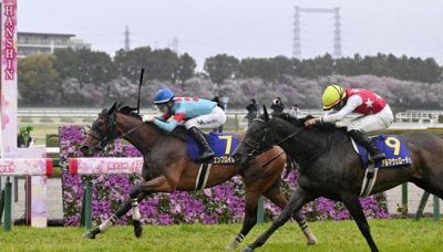 写真：第８５回桜花賞でゴールする１着のエンブロイダリー（左）と２着のアルマヴェローチェ＝阪神競馬場