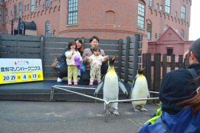 写真：ペンギンと一緒に記念撮影をする来館者