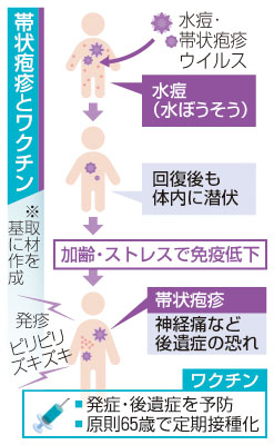 写真：