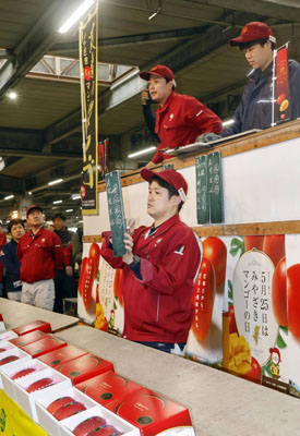 写真：宮崎市中央卸売市場で行われた完熟マンゴー「太陽のタマゴ」の初競り＝１７日午前