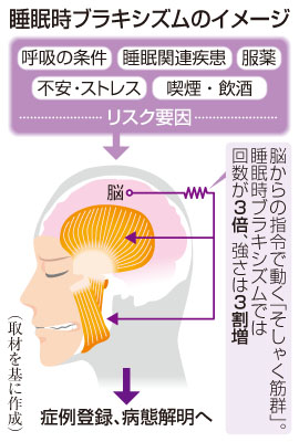 写真：