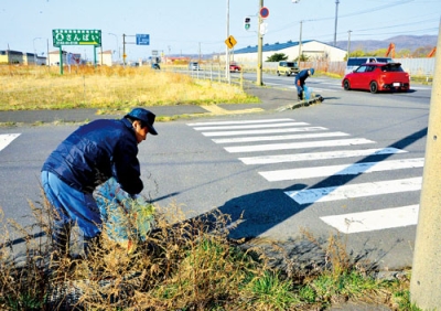 写真：ごみを丁寧に拾い集める参加者